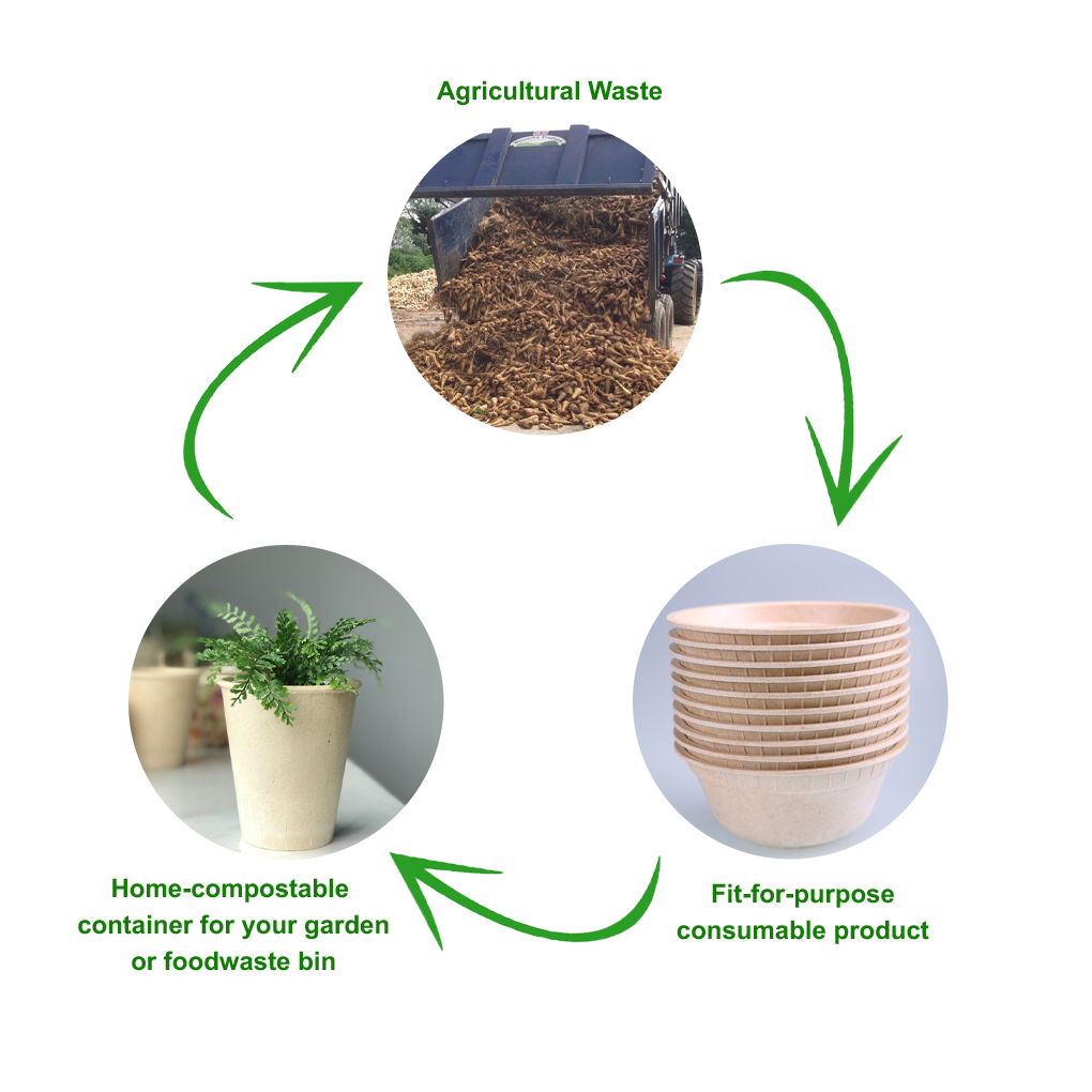 circular economy, recycle