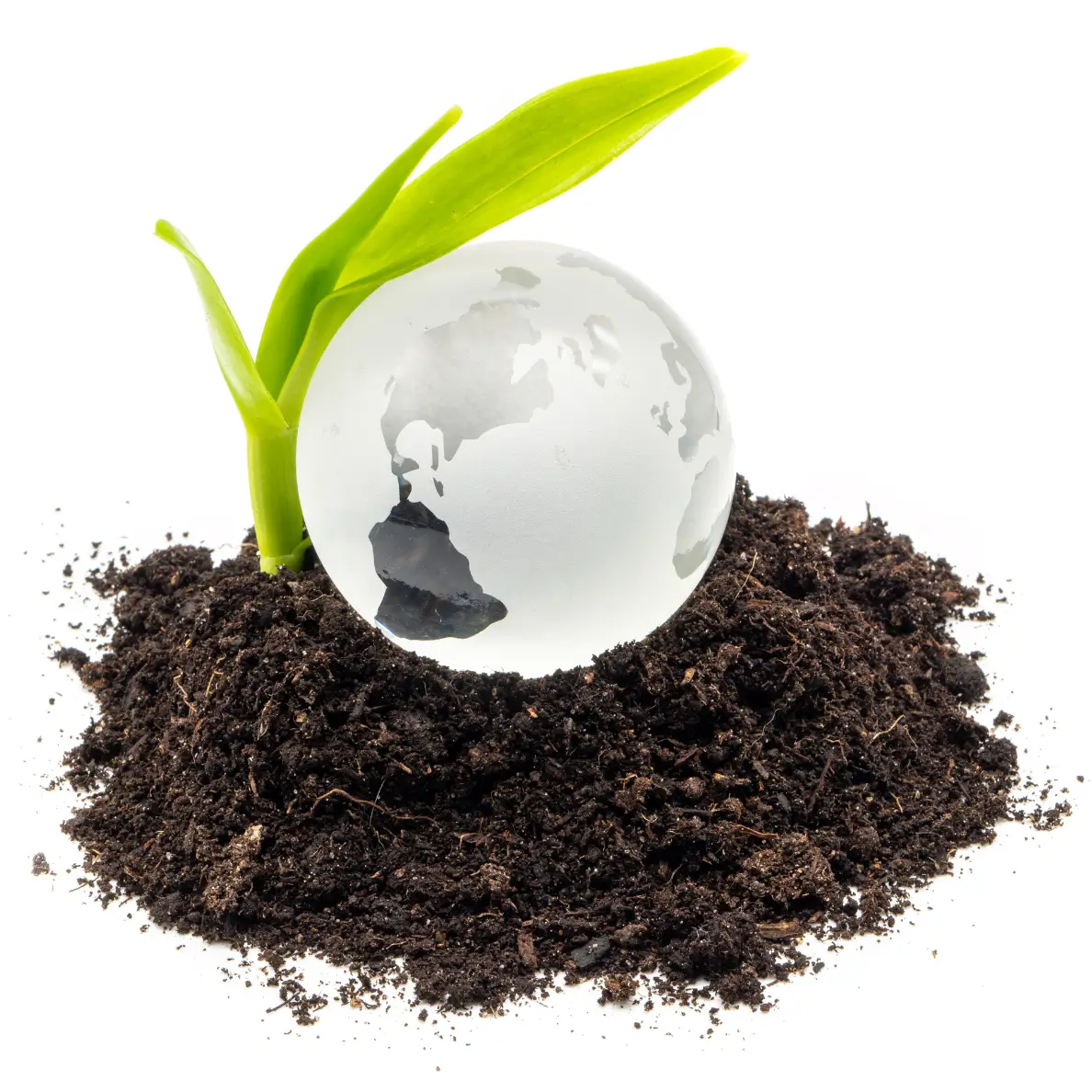 2 things to keep in mind when identifying truly sustainable and  eco-friendly alternatives in the     food packaging industry